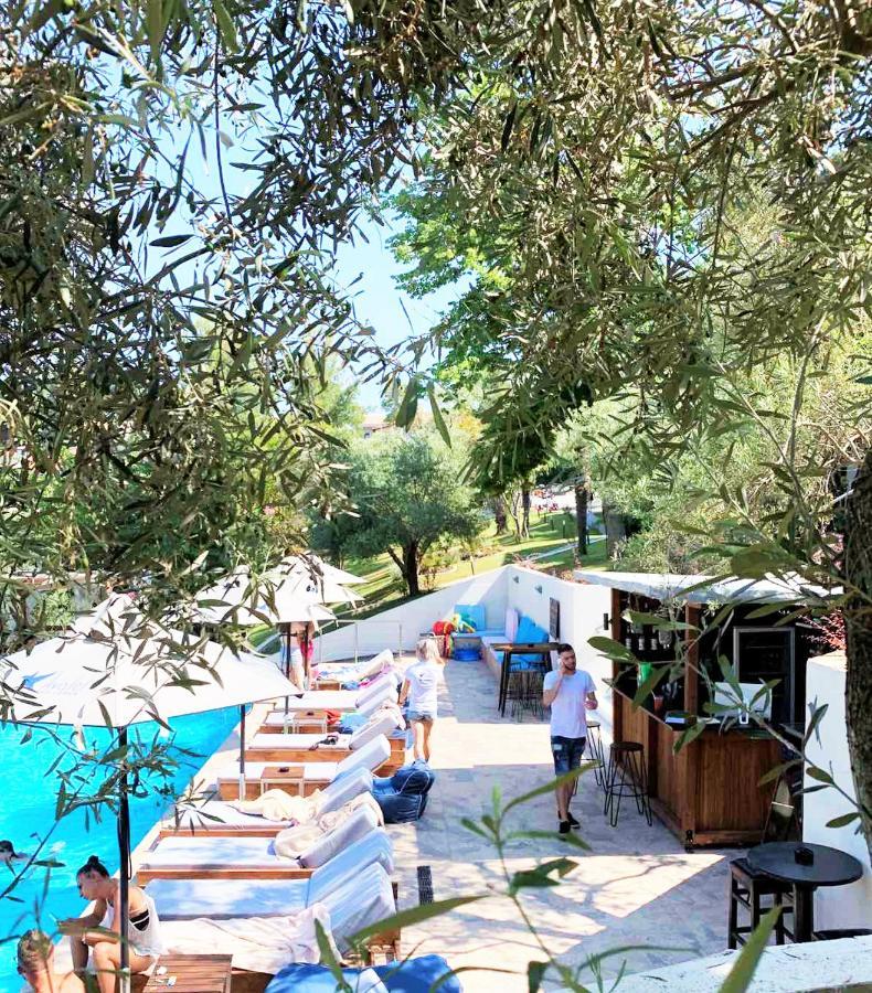 Avatel Eco Apartmán